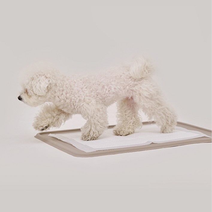 본사직영당일출고 강집사 실리콘 날개 배변매트 논슬립 화장실, 1개, 베이지