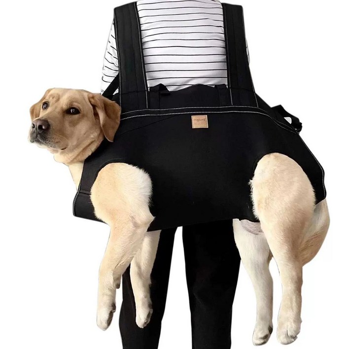 대형견 이동가방 중대형 강아지 애견 운반 노견 백팩