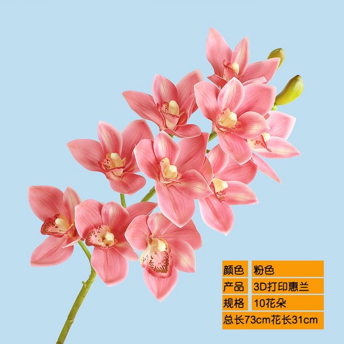 가벼운 촉감 보습 10 40g 오브 오드퍼퓸 본품 175ml 오르페옹 휴대용 27G2
