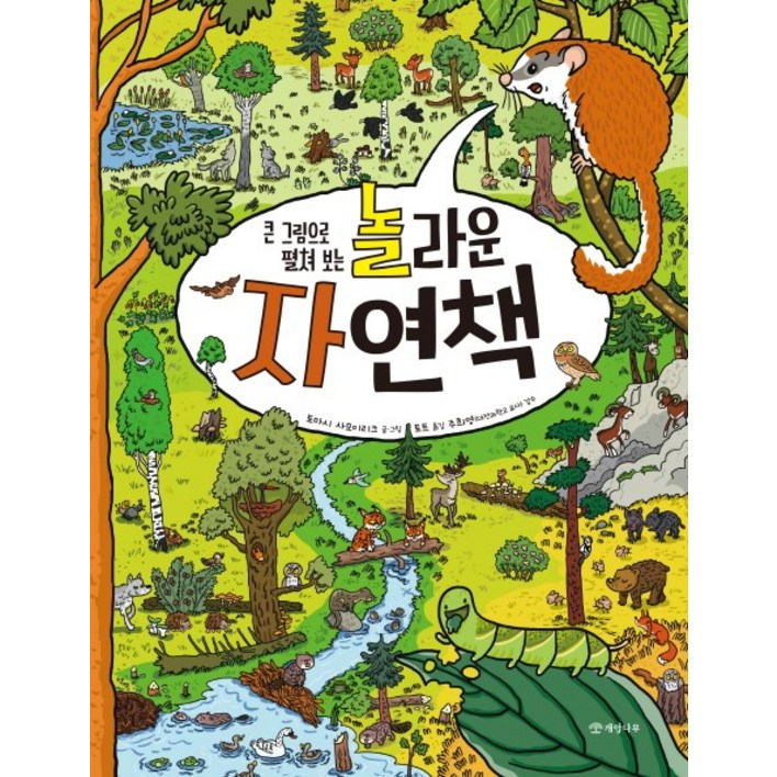 큰 그림으로 펼쳐 보는놀라운 자연책