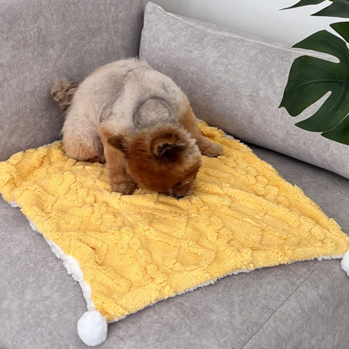 보드미펫 강아지 고양이 이불 담요, 옐로우, 1개