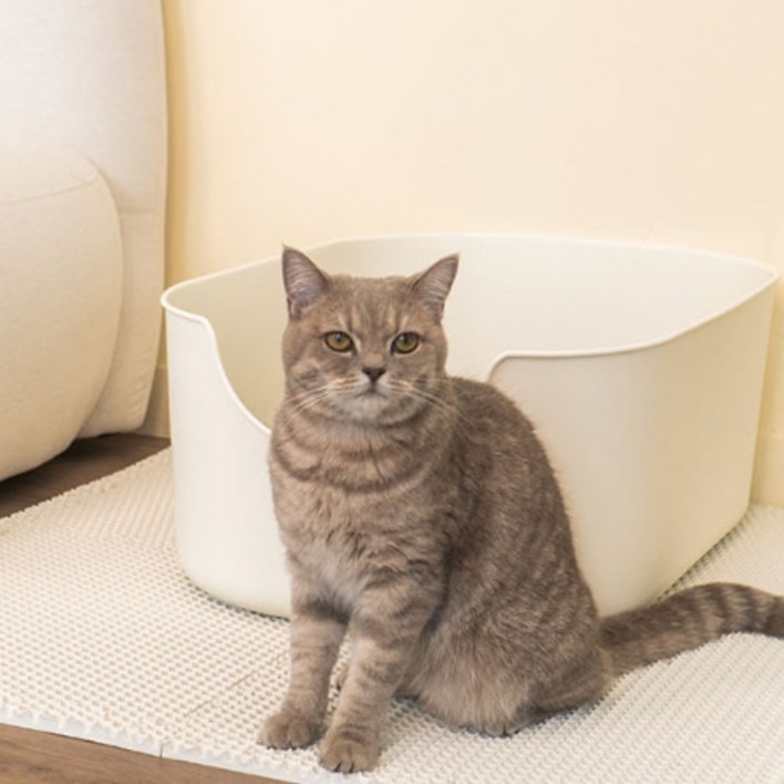 정글몬스터 고양이 쏙쏙 모래 매트, 단일 색상, 4개