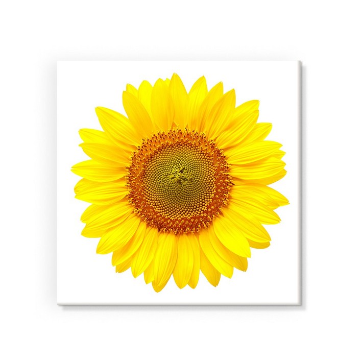 돈들어오는 그림 풍수 해바라기 두꺼비집 배전함 가리개 액자 10종 현관 풍수 소품, 1. 황금 풍수 해바라기