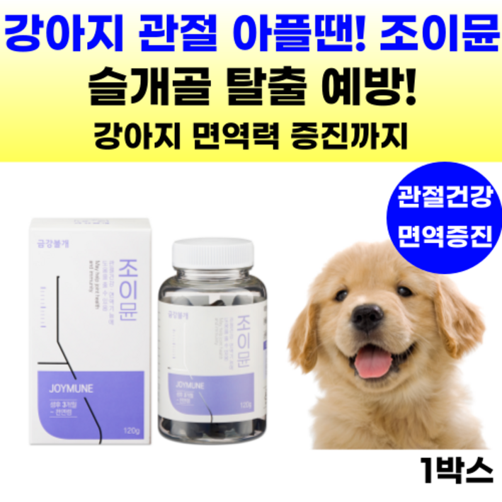 강아지 영양제 관절 조인트 슬개골탈구 애견 강아지 면역 관절영양제 글루코사민 콘드로이친 관절건강 반려견 노견 슬개골 강아지관절영양제 보스웰리아 초록잎홍합 MSM 칼슘 사은품 증정, 뼈관절강화, 1통, 연어맛