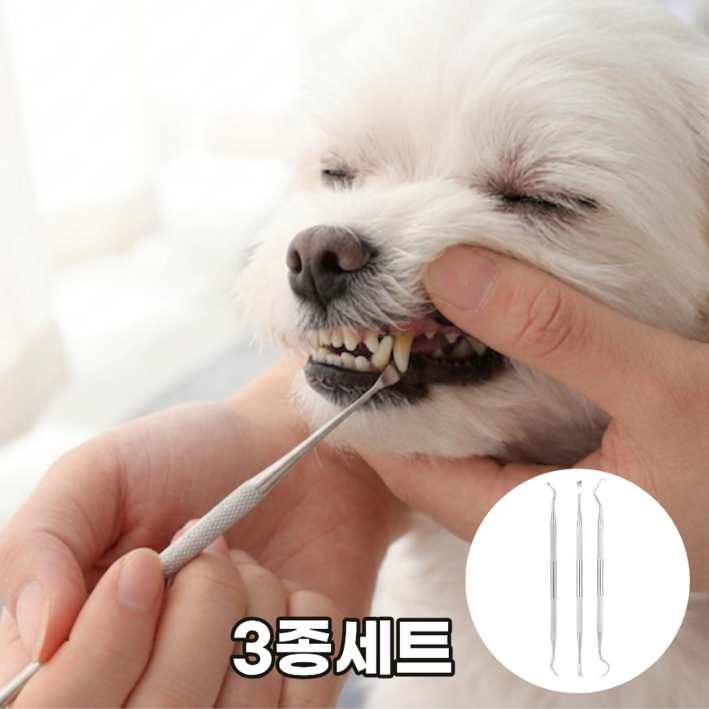 리커전 강아지 치석제거기 반려견 고양이 스케일러