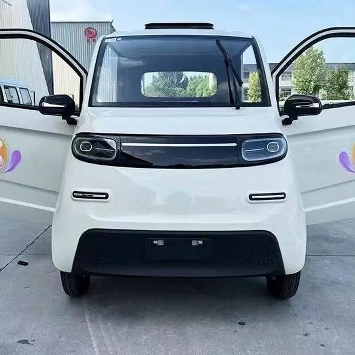 소형전기화물차 저렴한전기차 지붕있는 이동수단 사륜 일반형