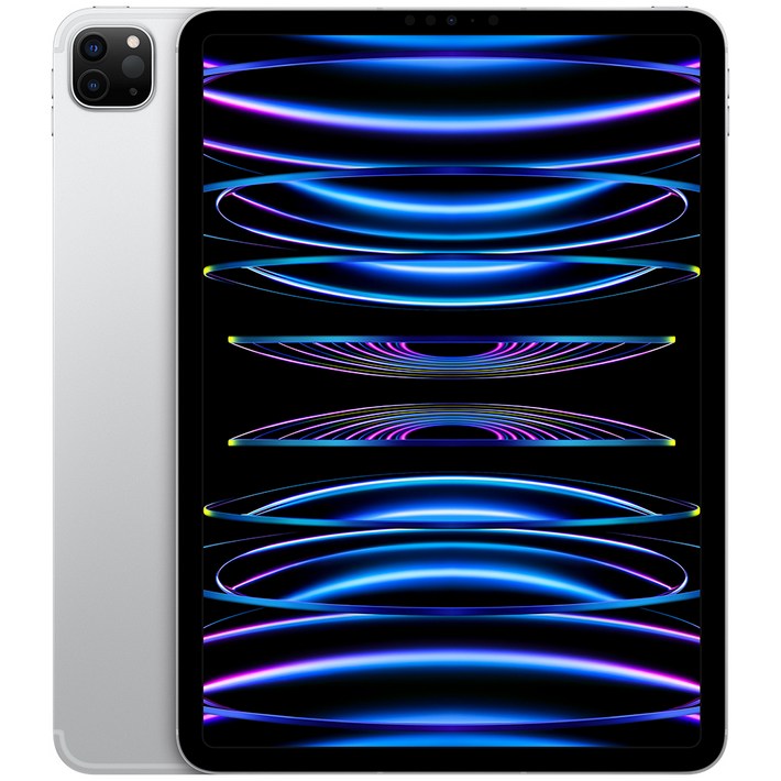 Apple 정품 2022 아이패드 프로 11 4세대 M2칩