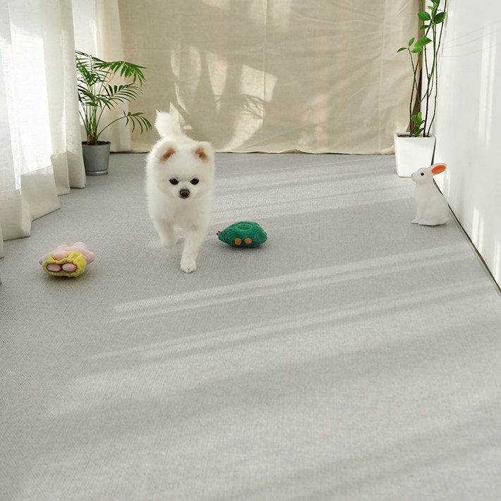 LIFANG 반려동물 미끄럼방지 매트 복도형