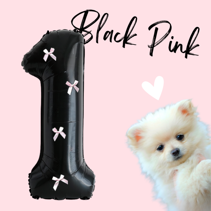 파티룰루 블랙핑크 숫자풍선 리본 대형 생일
