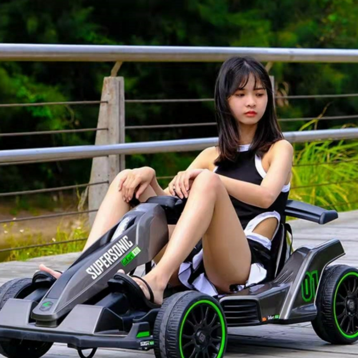 고카트 전동카트 레이싱카트 1인용차 루지카트