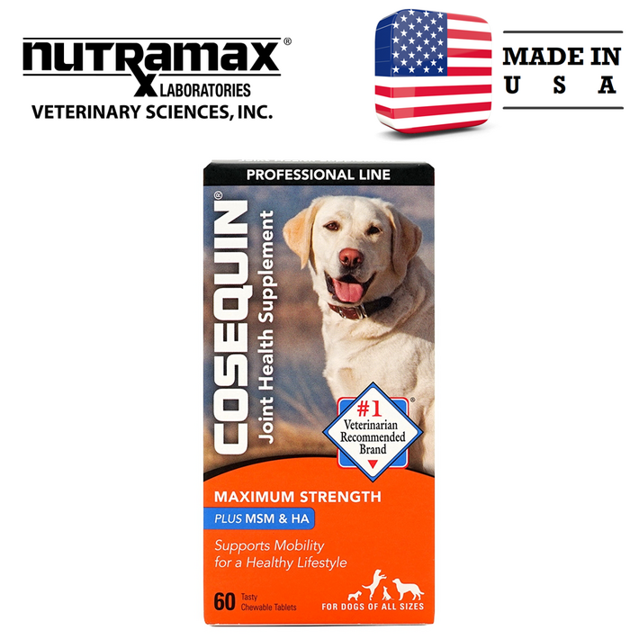 뉴트라맥스 코세퀸 조인트 헬스 반려견관절보조제 MSM 글루코사민 콘드로이친 히알루론산 60츄어블