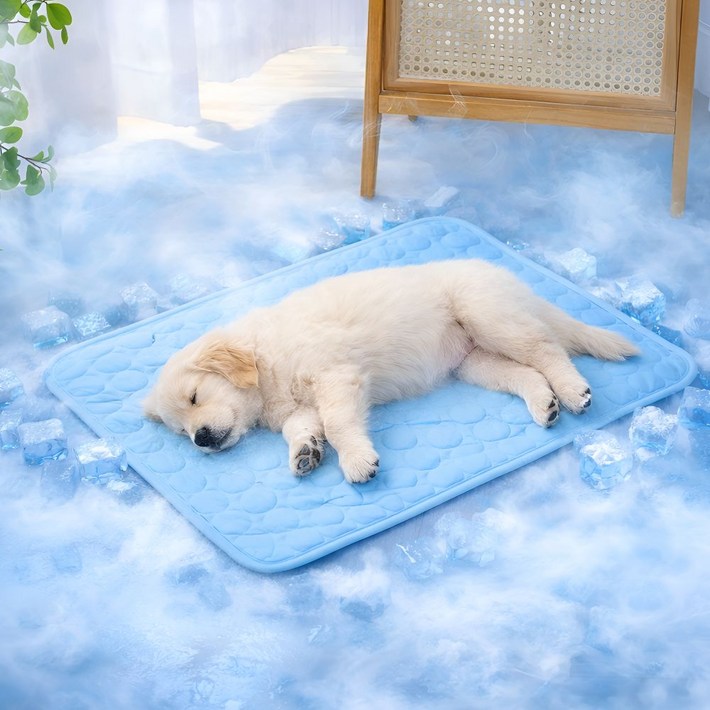 다성 반려동물 쿨링 애견 매트 쿨방석