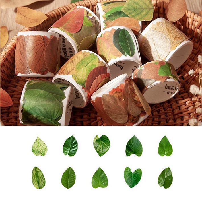 낙엽 메모지 스티커 가을 단풍 나뭇잎 접착 다꾸 다이어리 꾸미기, 푸른잎2세트