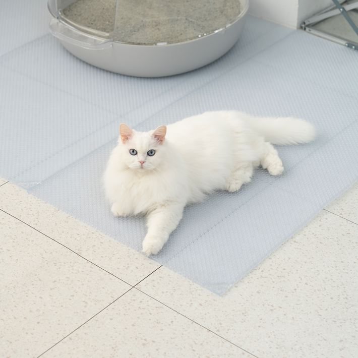 냥쌤 투명 캐치매트 고양이 모래 매트 사막화 방지 발판 패드, 1개, 투명