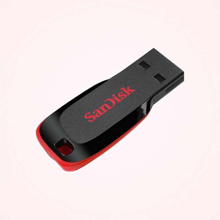 샌디스크 블레이드 USB 플래시 드라이브 SDCZ50