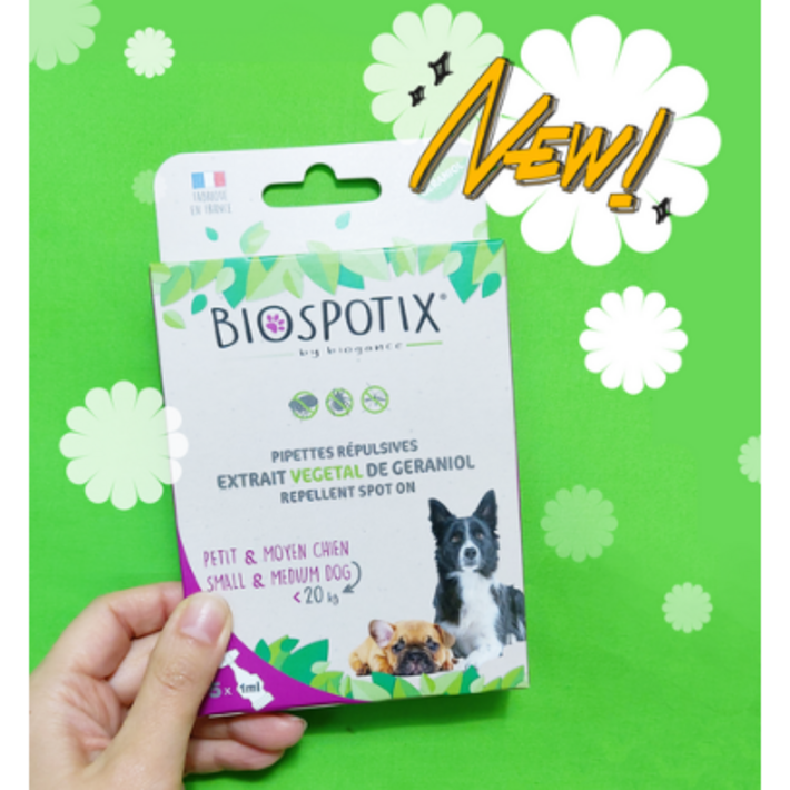 바르는 해충 예방약 벌레 기생충 진드기 벼룩 모기 해충방지 구충제대용 강아지 소형견 중형견 대형견 고양이 바이오스파틱스, 5개, 자주색, 1ml