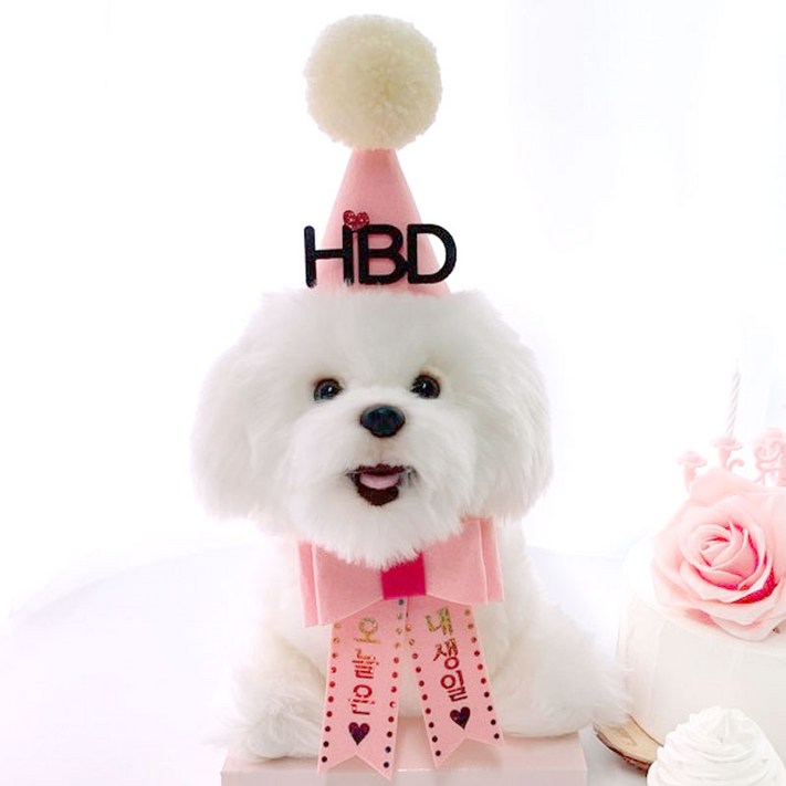강아지 생일파티 고깔  리본화환 세트