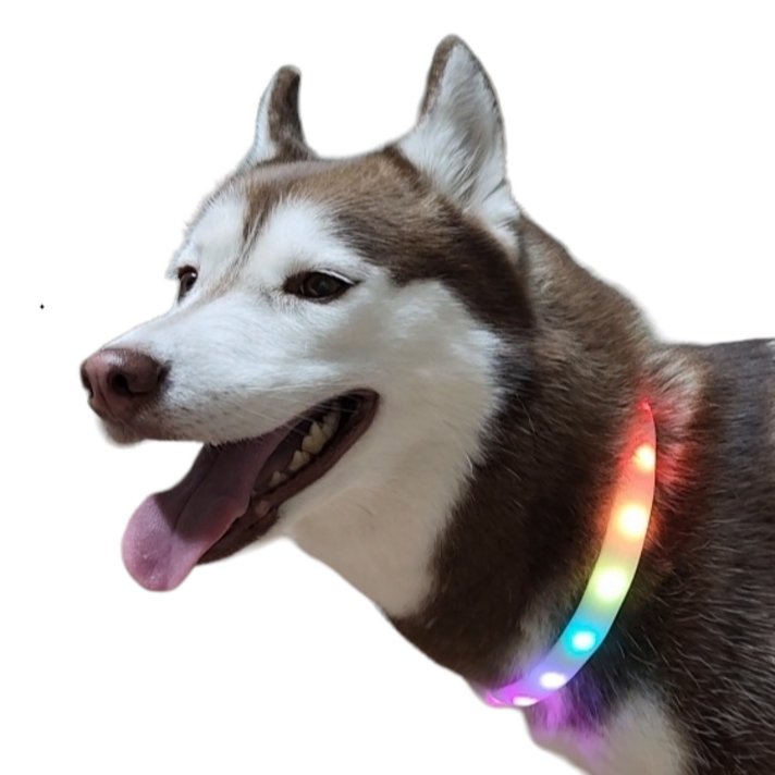 강아지 LED 목걸이 무지개 목줄 야광 팬던트 넥밴드, 1개 강아지 LED 목걸이 무지개 목줄 야광 팬던트 넥밴드, 1개