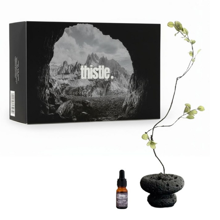 티슬 화분 스톤 디퓨저 화산석 아로마 오일 집들이 선물 세트 홈데코, 1개, 테싯(이솝향)