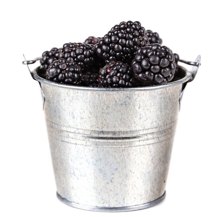 억수로상회 고창 산지직송 블랙베리급냉특품 슈퍼복분자 대용량, 1개, 10kg