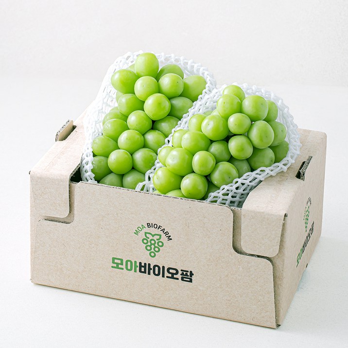 모아바이오팜 당도선별 샤인머스캣, 1개, 1.5kg