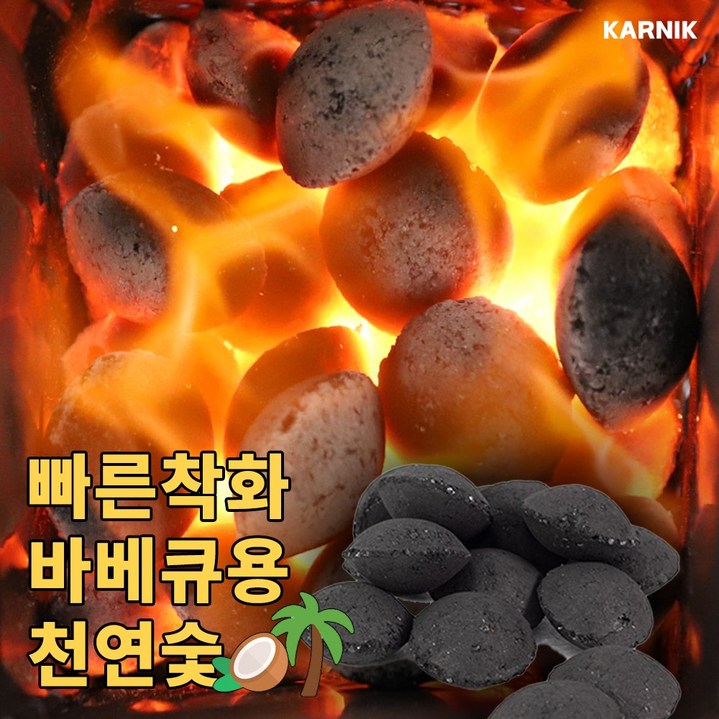 카르닉 코코넛 바베큐숯 야자숯 조개탄 빠른착화, 1개