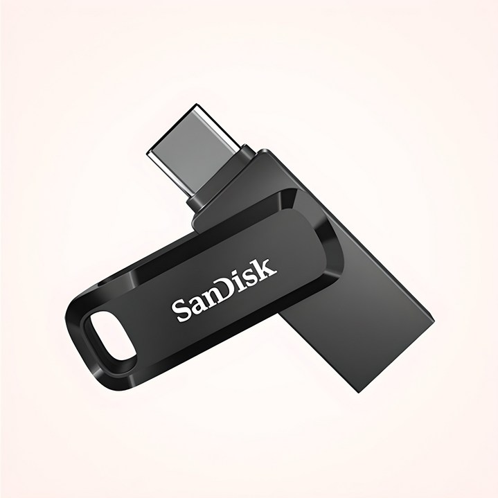 샌디스크 울트라 듀얼드라이브 고 USB Type C USB 메모리