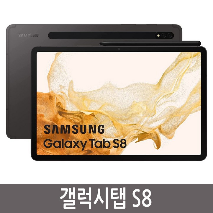삼성전자 갤럭시탭 S8 SMX700, 갤럭시탭S8, 256GB, WiFi