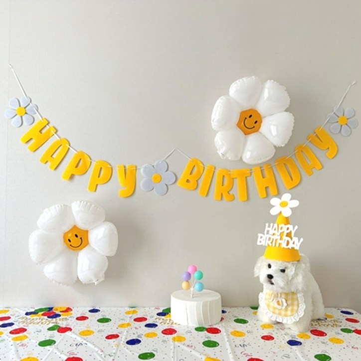 하피블리 강아지 생일파티 세트 20230720