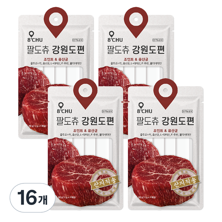 팔도츄 반려동물 강원도편 짜먹는 간식 4p, 한우, 48g, 16개