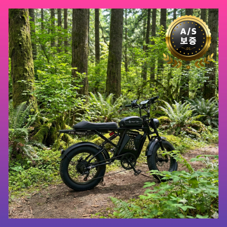 노르테 자토바이 전기 자전거 전동 스쿠터 MTB 출퇴근용 배달용, RX1-Luxury, 스틸