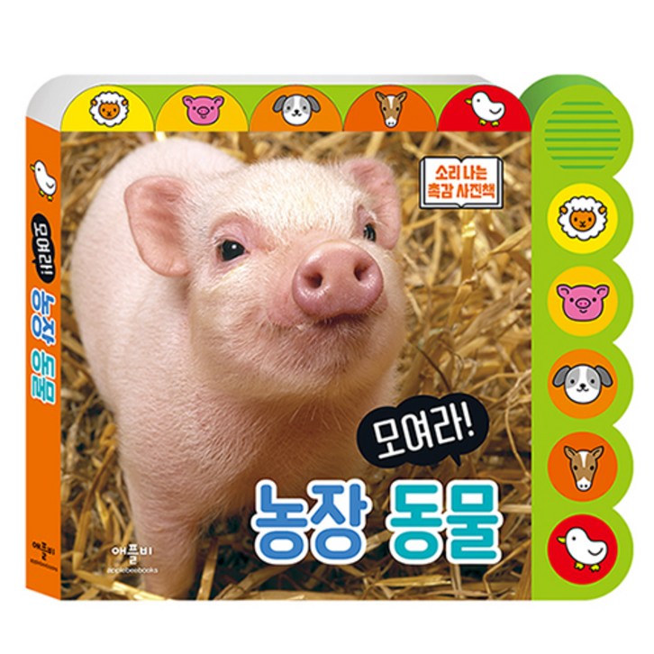 애플비 모여라 농장 동물 - 쇼핑뉴스
