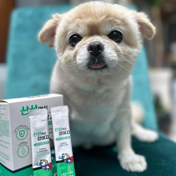 산삼먹은 강아지 종합 영양제 노령견 전용 유산균 오메가3 비타민 올인원