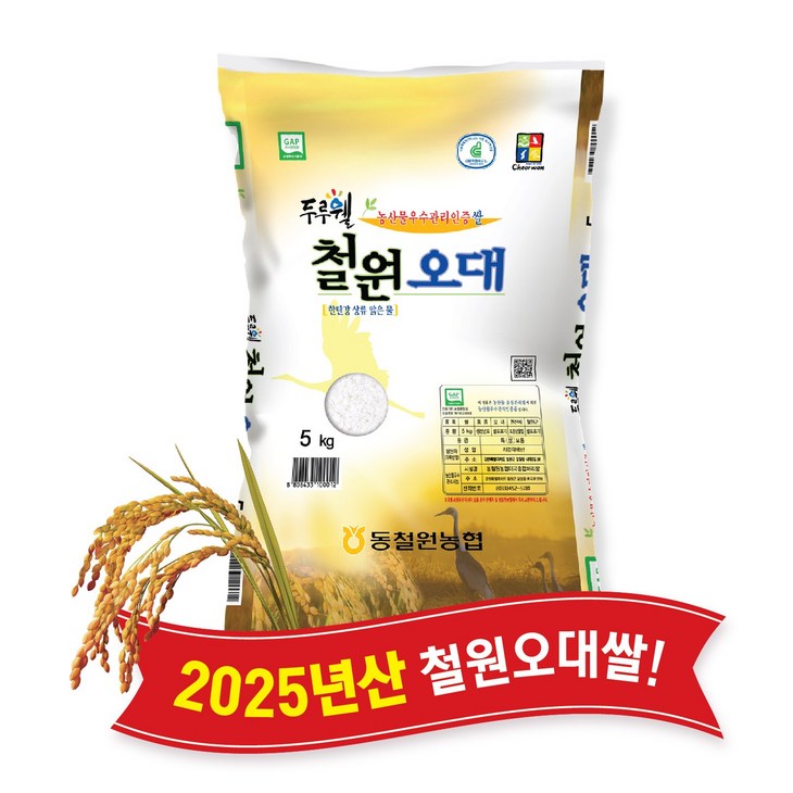 당일도정 동철원농협 직접운영 2025년산 햅쌀 두루웰 철원오대, 1개, 5kg, 상등급