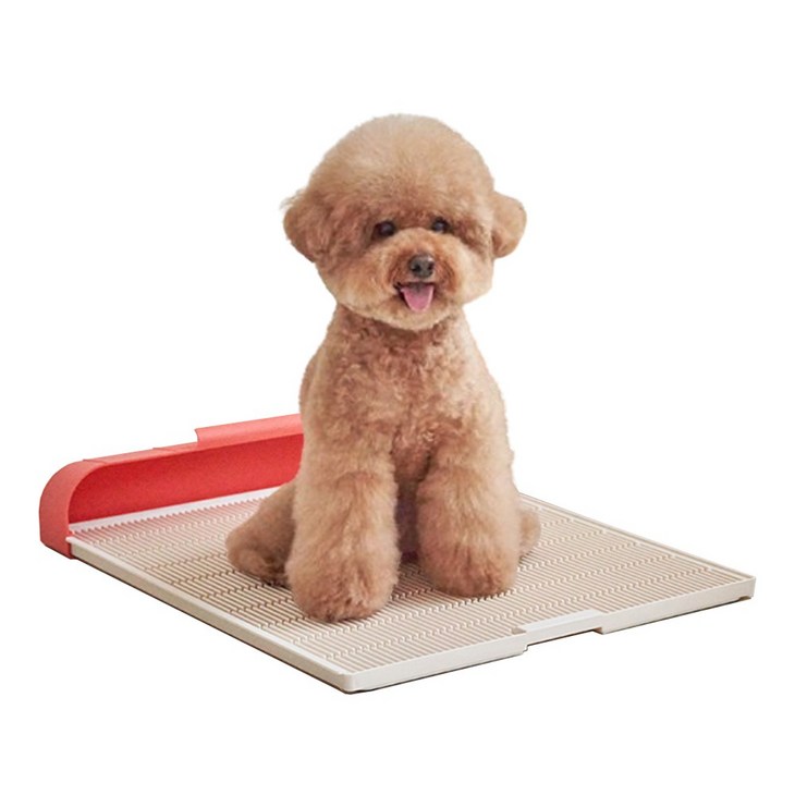 모노모그 스윙배변판 무한연장 일체형 대형 강아지 배변판, 1개