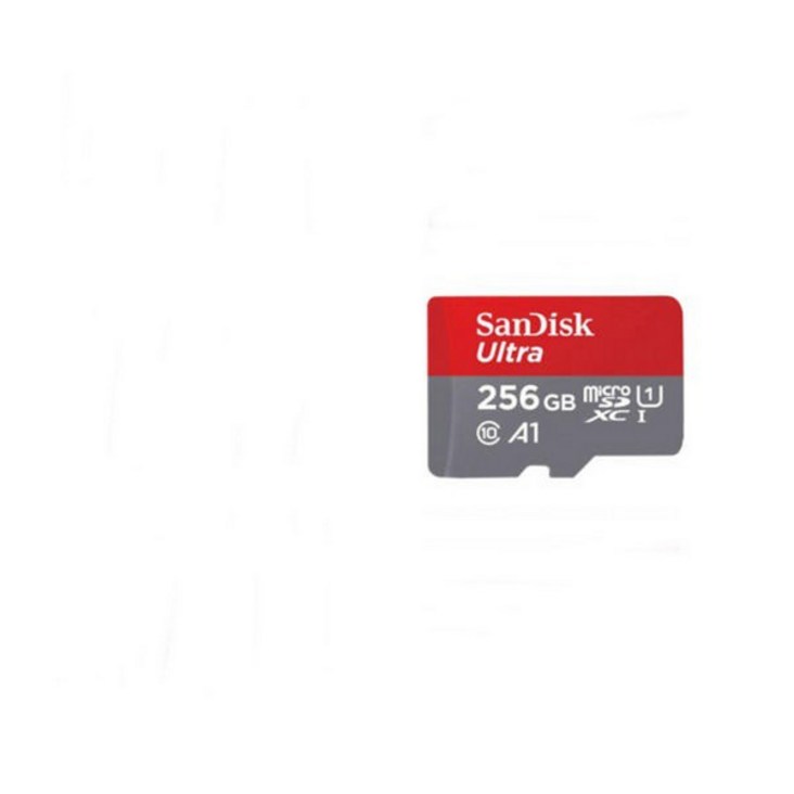 샌디스크 Micro SD카드 256GB SanDisk, 단품, ES 본상품선택