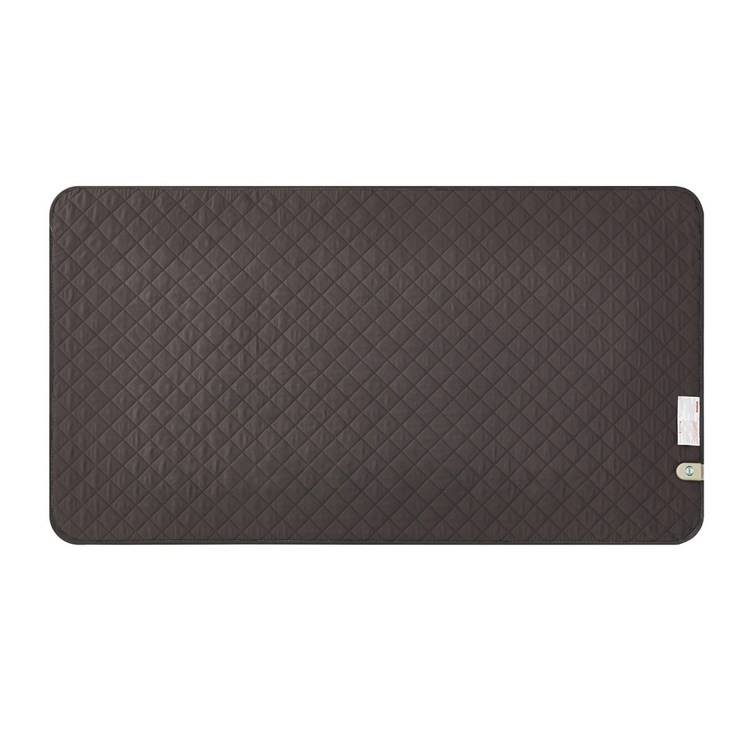 더안 EMF 탄소매트 전기장판 딥그레이 YN2200, 싱글100 x 180 cm